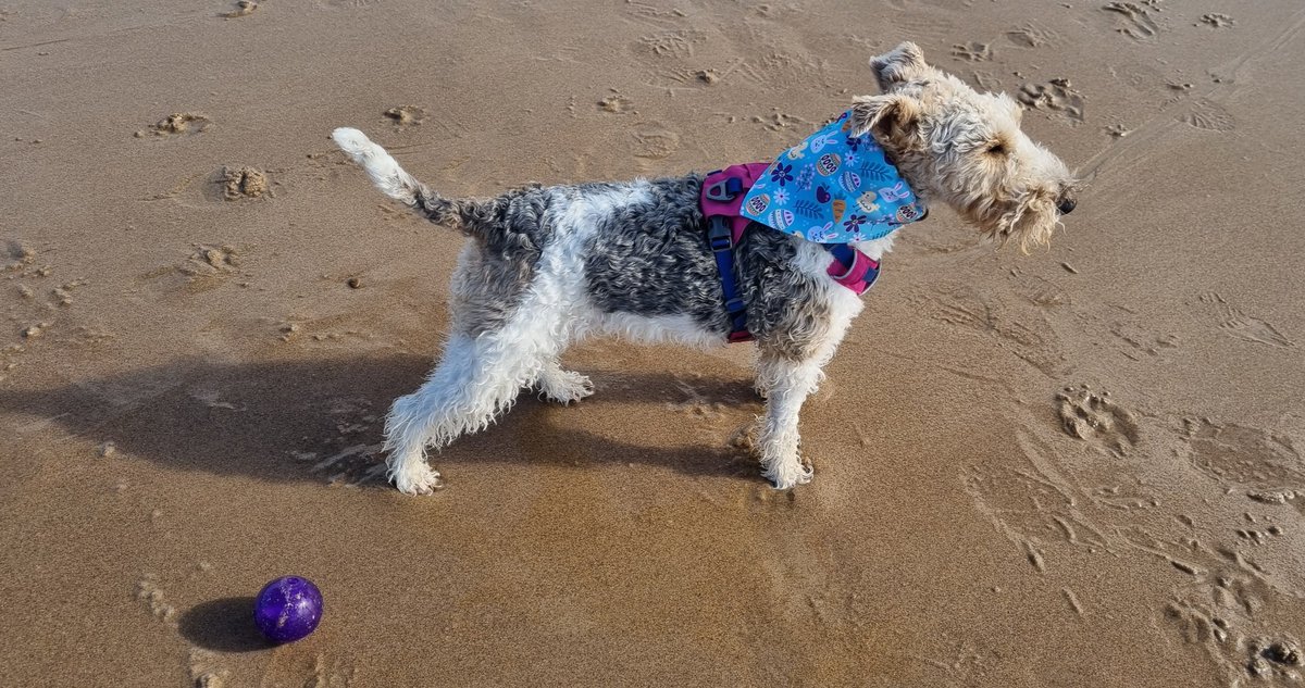 rmpk & Flora the Foxie 💚🇺🇦 tweet media