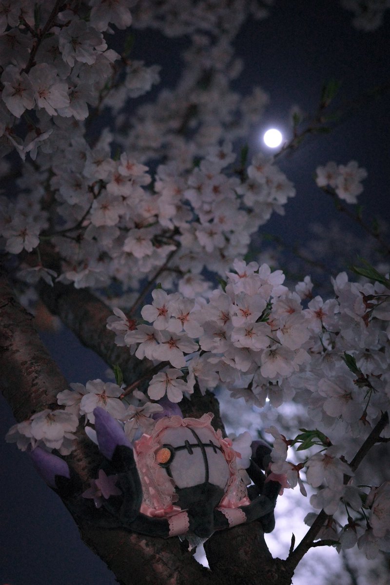 #ポケぬい 

보름달의 샹델라  ••(っ´ཀ`)っ