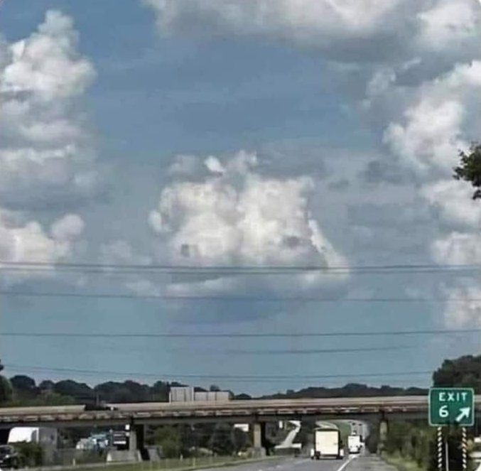 Marcela Quintero tweet media