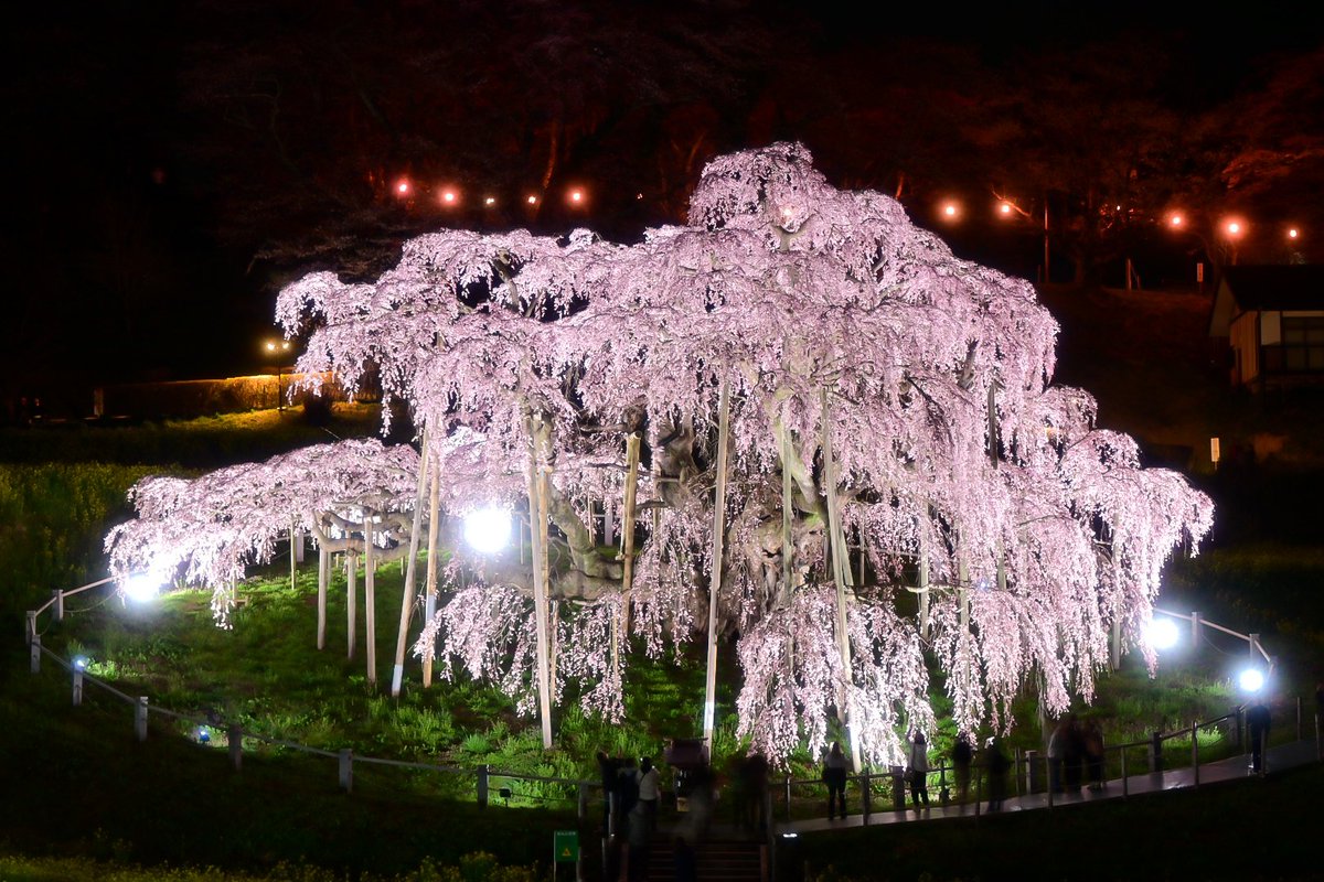 自由人KANA tweet media