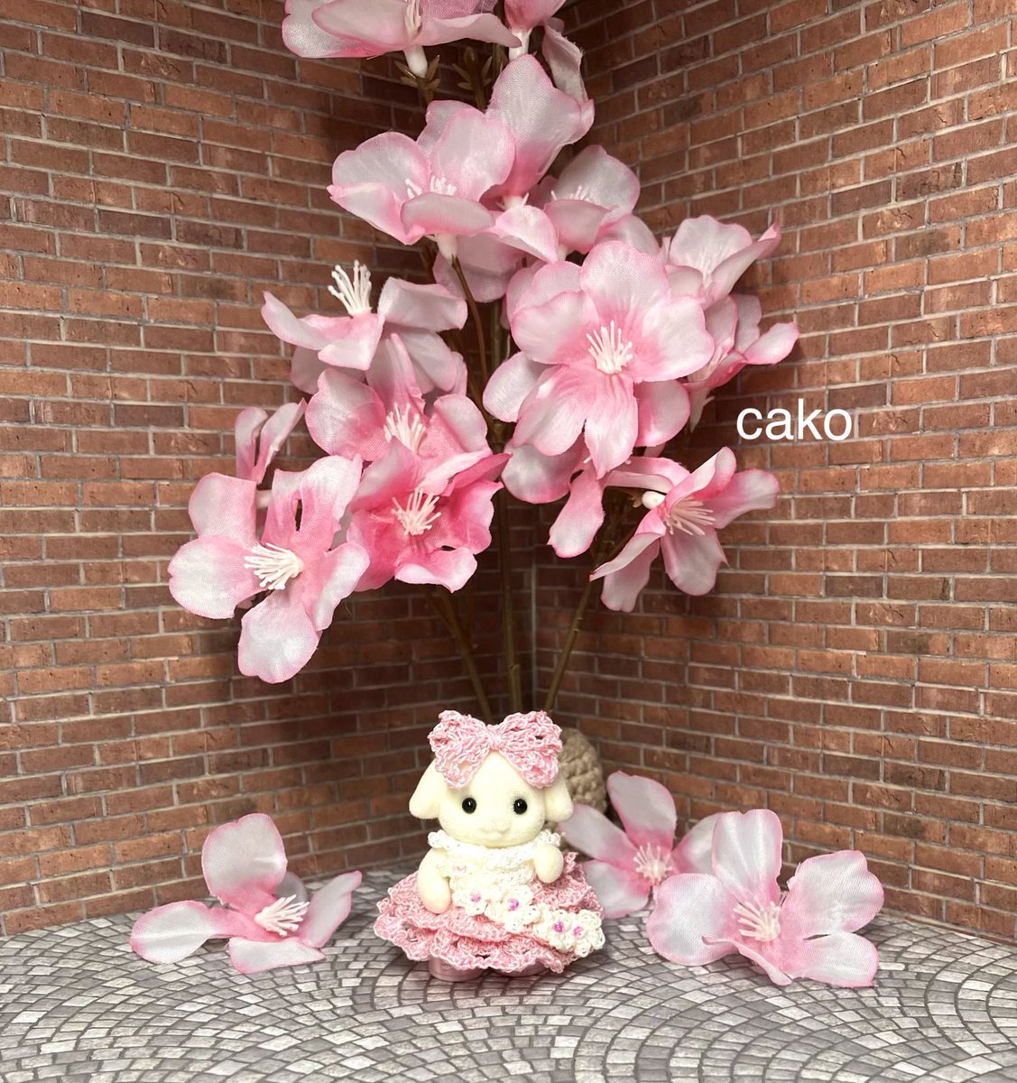 cako🐱 tweet media