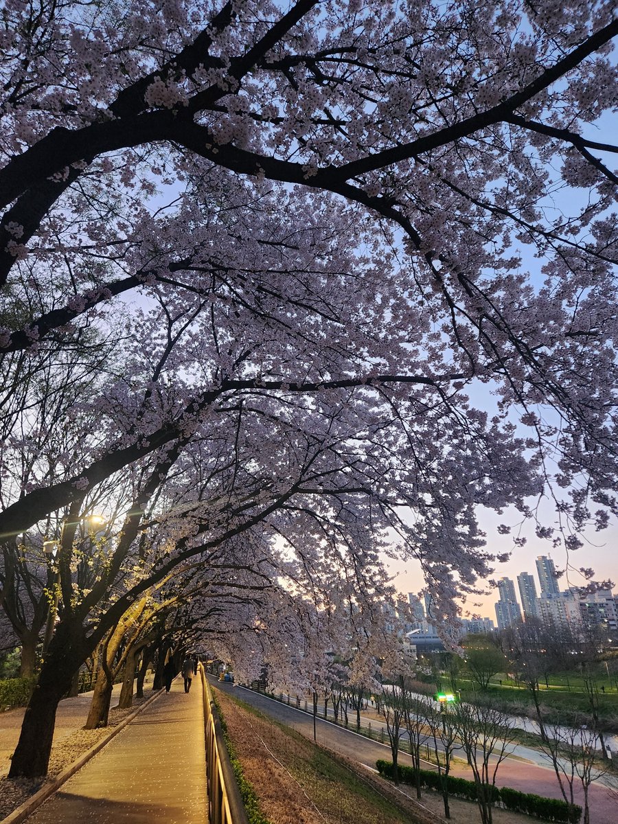 이룬【4/4 SOAR-OVER FINAL LIVE】 tweet media