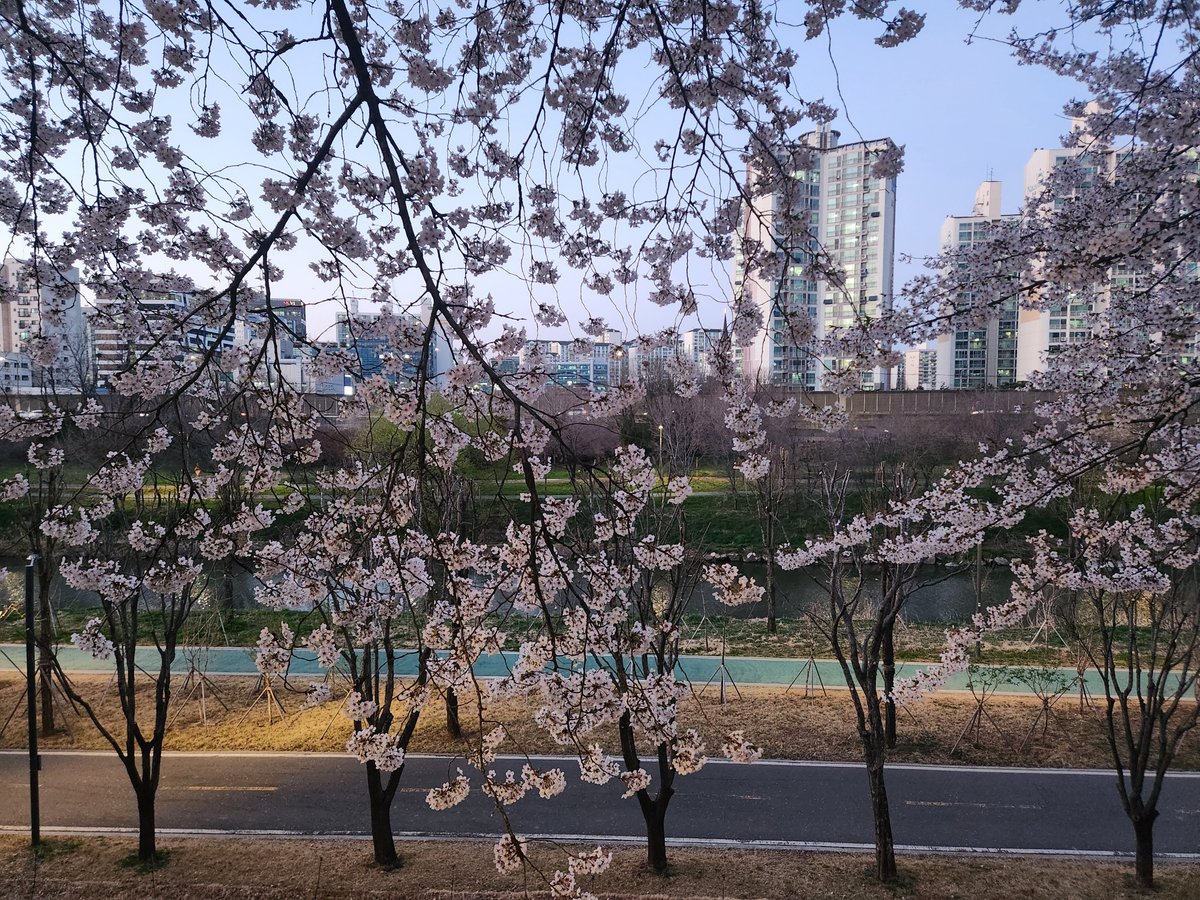 이룬【4/4 SOAR-OVER FINAL LIVE】 tweet media