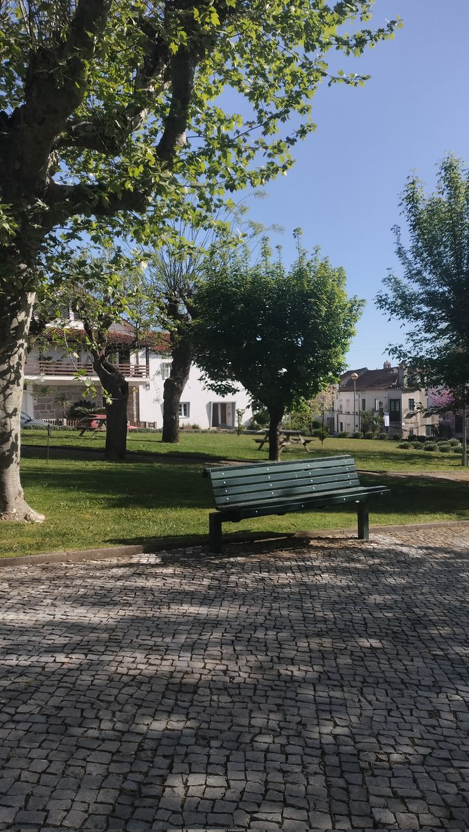 liano 𐂂 tweet media