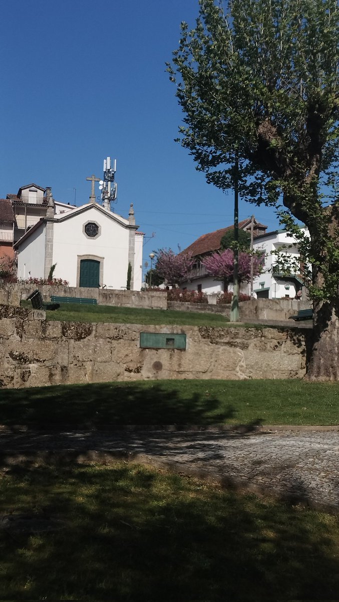 liano 𐂂 tweet media