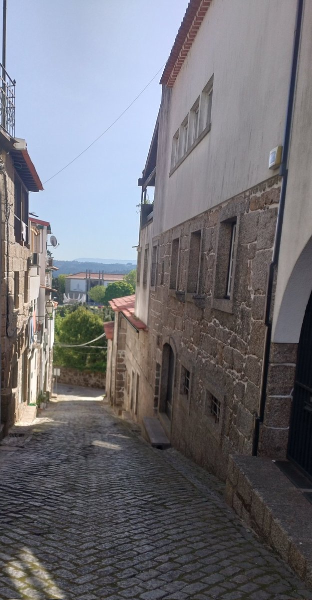 liano 𐂂 tweet media