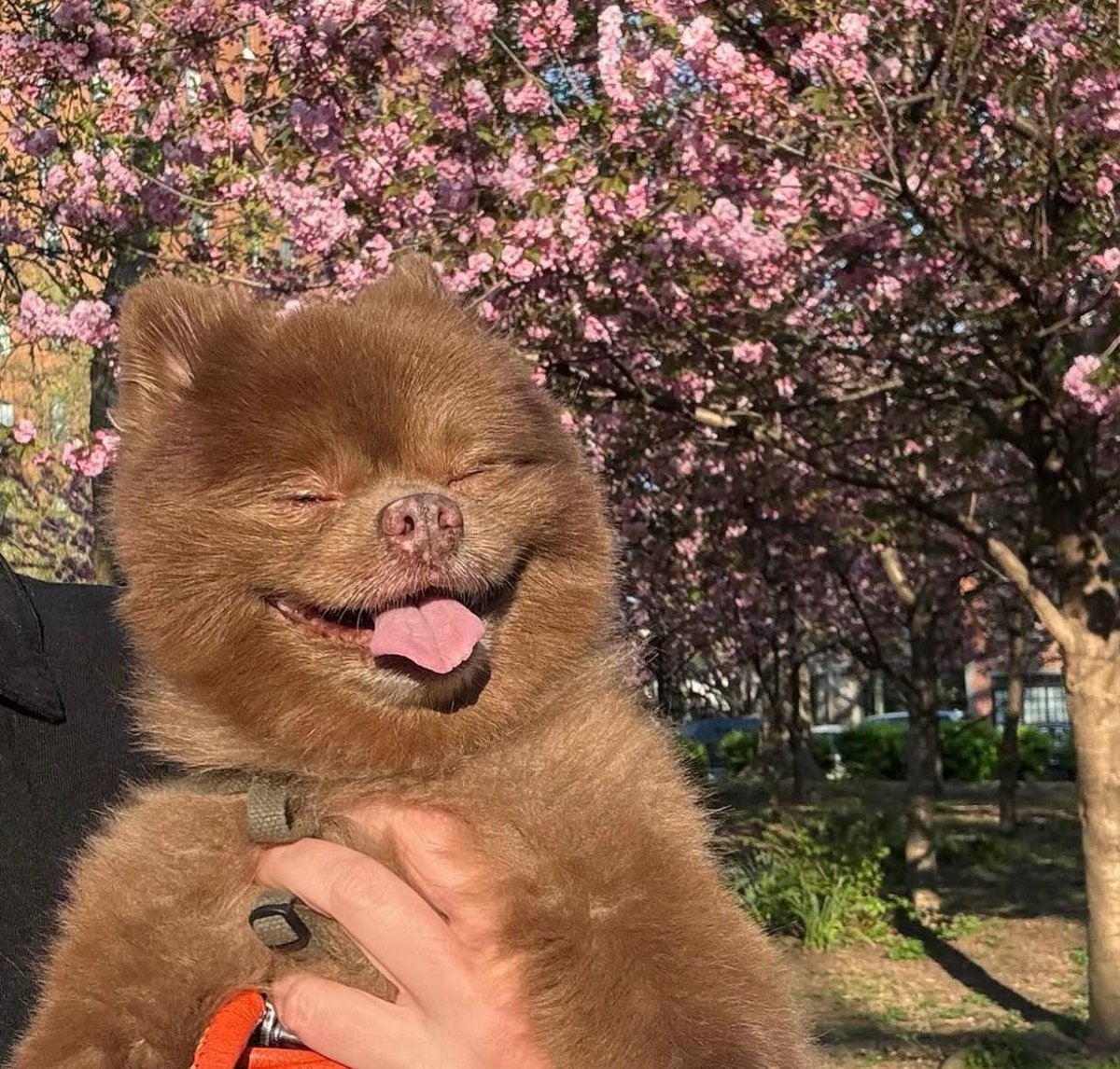 BossTon 🥰 tweet media