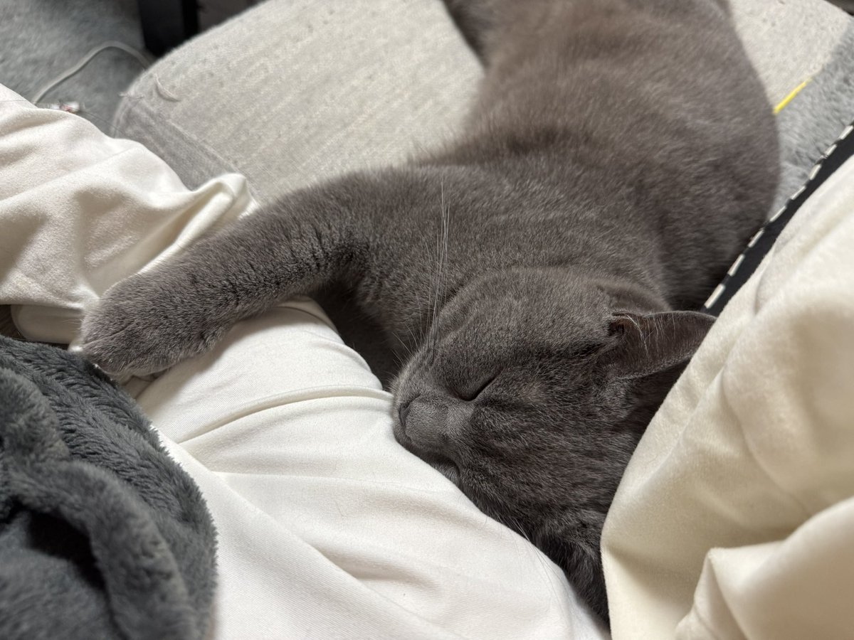 おこげ tweet media