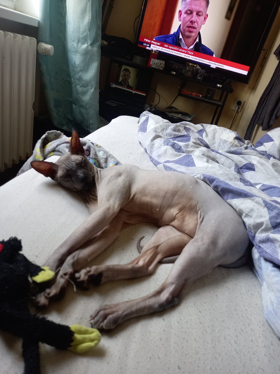 Matyáš Semeno tweet media