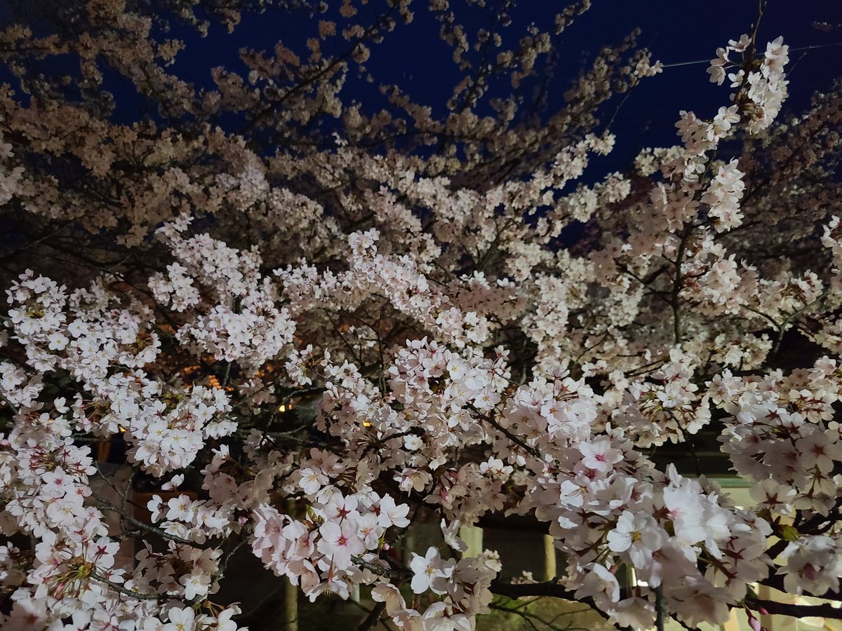 【能登半島地震】石川県穴水町｜公式 tweet media