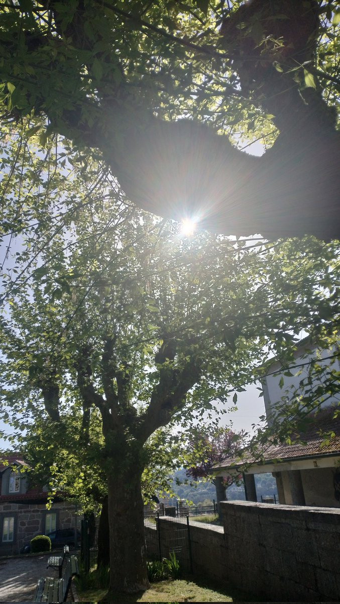 liano 𐂂 tweet media