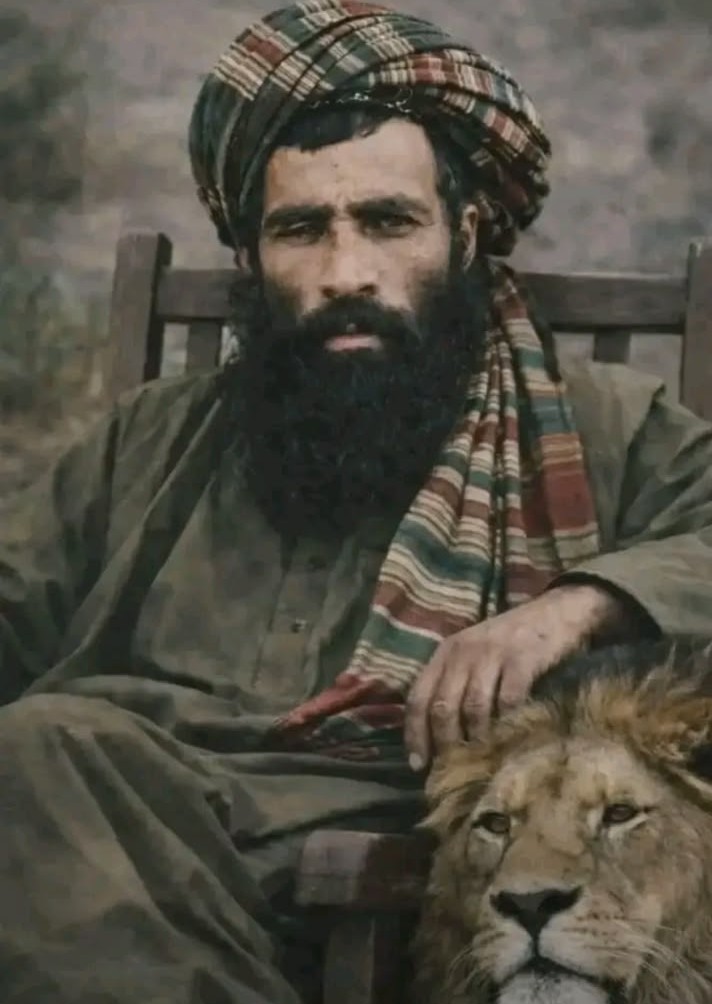 W.A. Mubariz - وکیل احمد مبارز tweet media