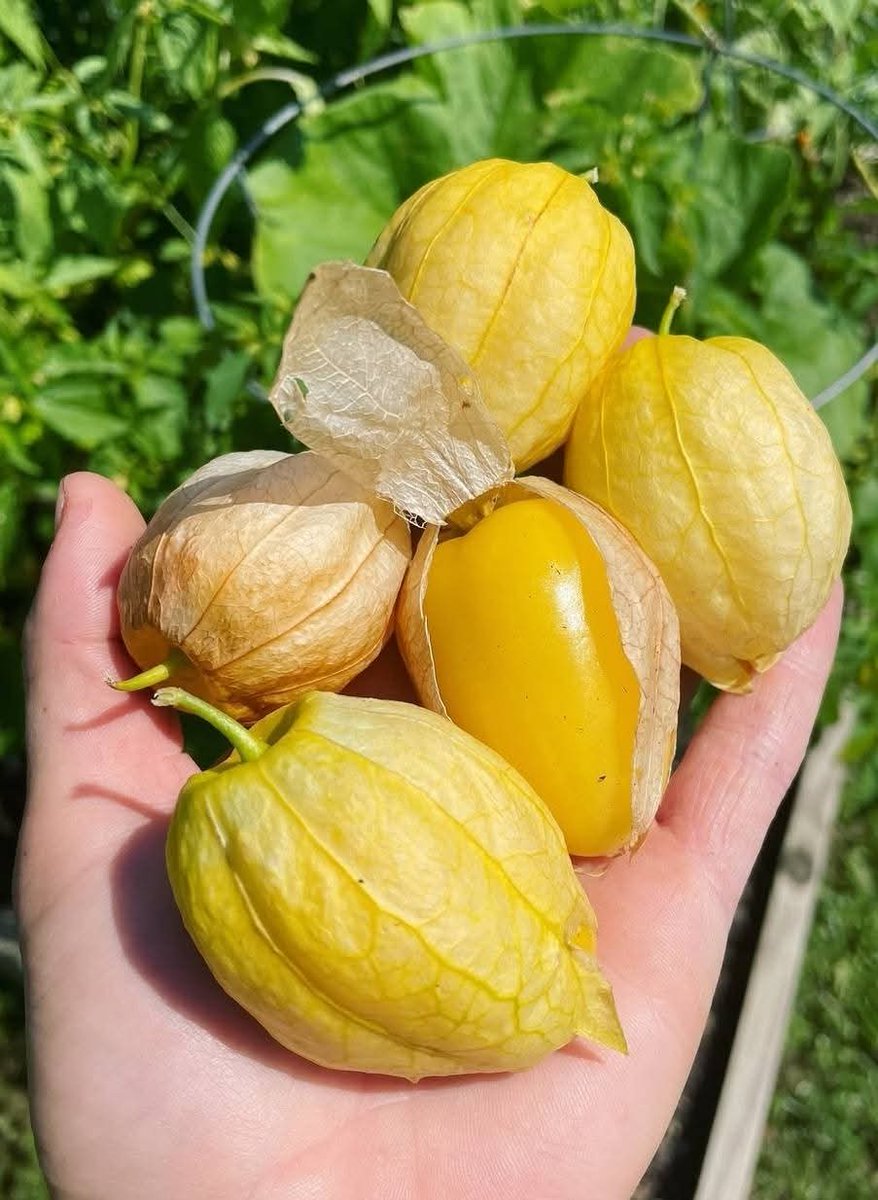 ☀️☯️ Ĕxčèĺ Ďèé🌏🌱 tweet media