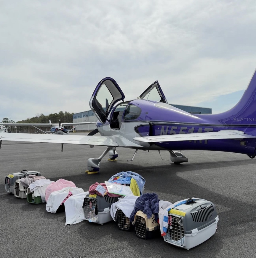 Pilots N Paws tweet media