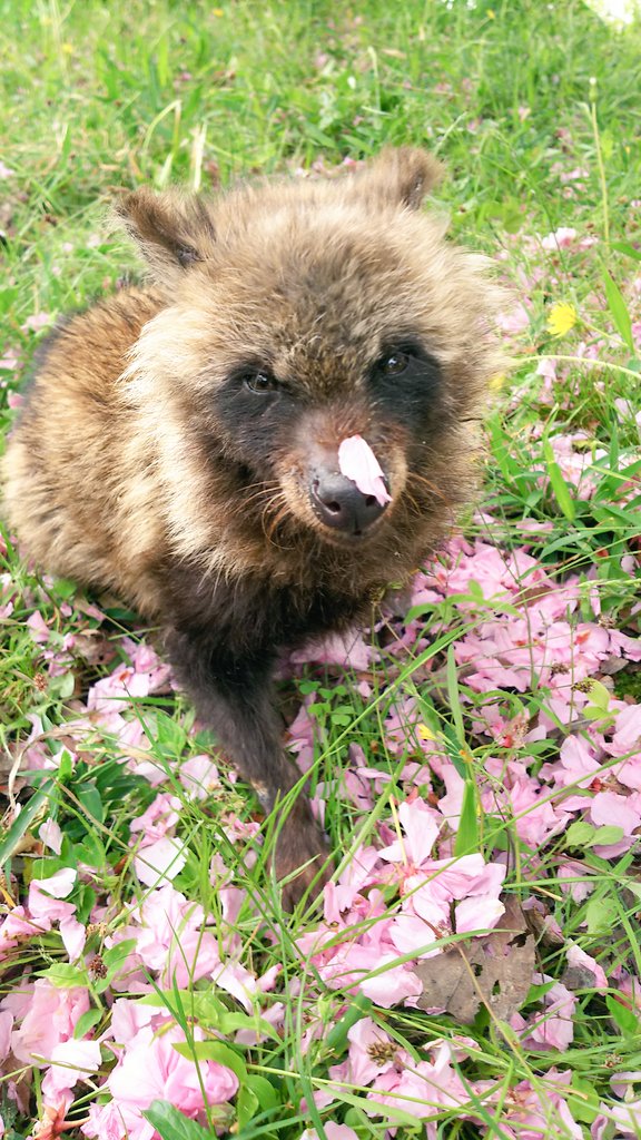 みなみなみな tweet media