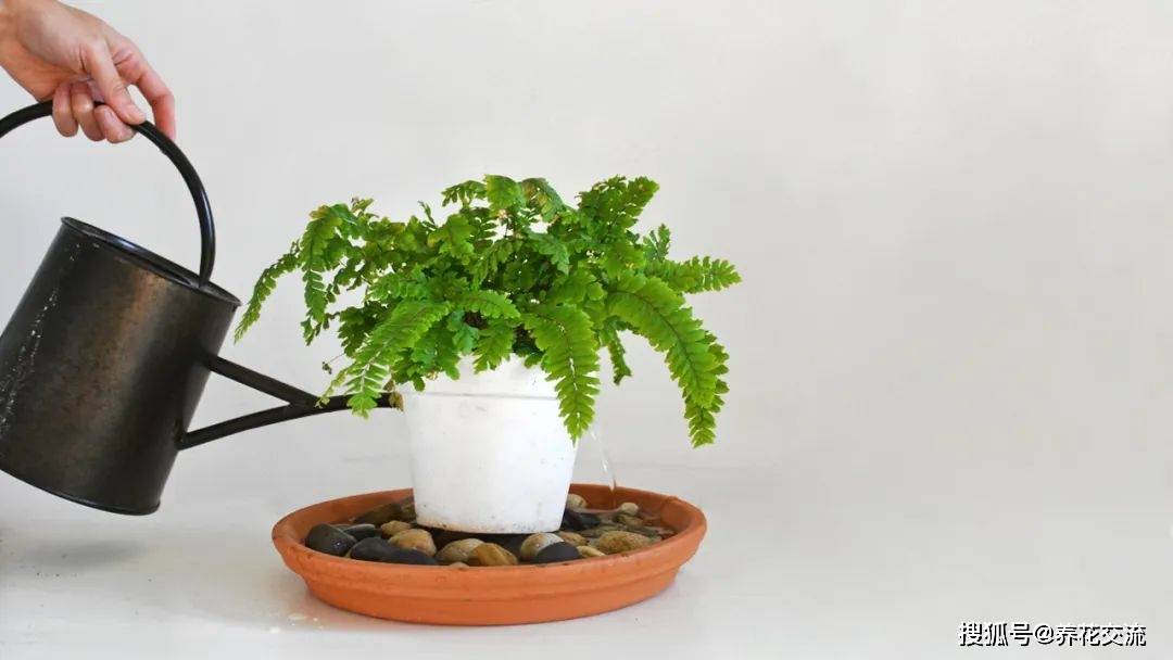 Poppy moriarty tweet media