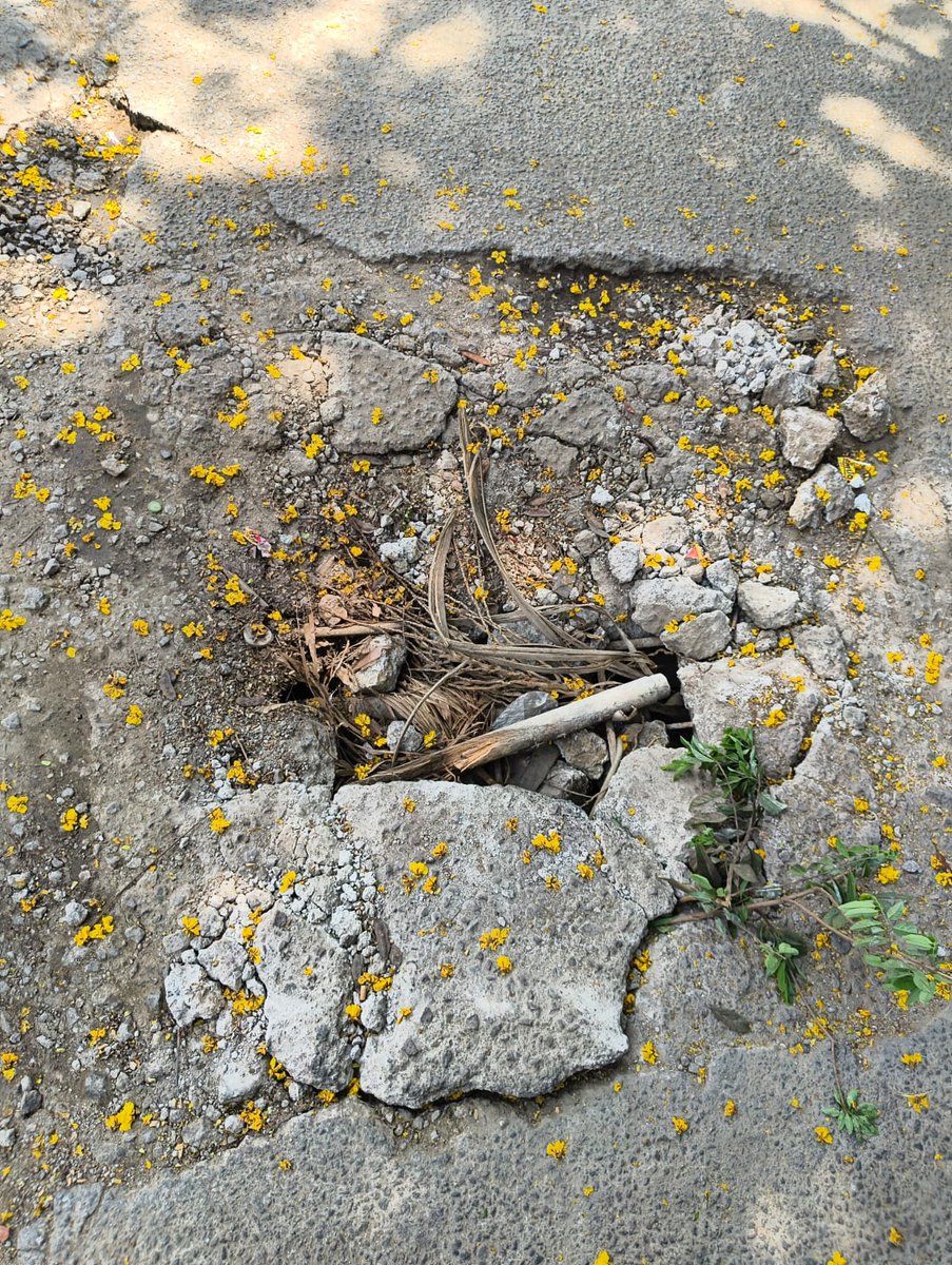 rakesh_sarap's tweet photo. @GhmcMayoroffice @GHMCOnline  @CommissionrGHMC  @MalakpetDC  @EE_Malakpet Drainage lids 3 of broken &amp; unattended since long time, pl, fix soon at Moosarambagh old RTO office behind- 2nd lane @balala_ahmed https://t.co/ccza1NtrEU