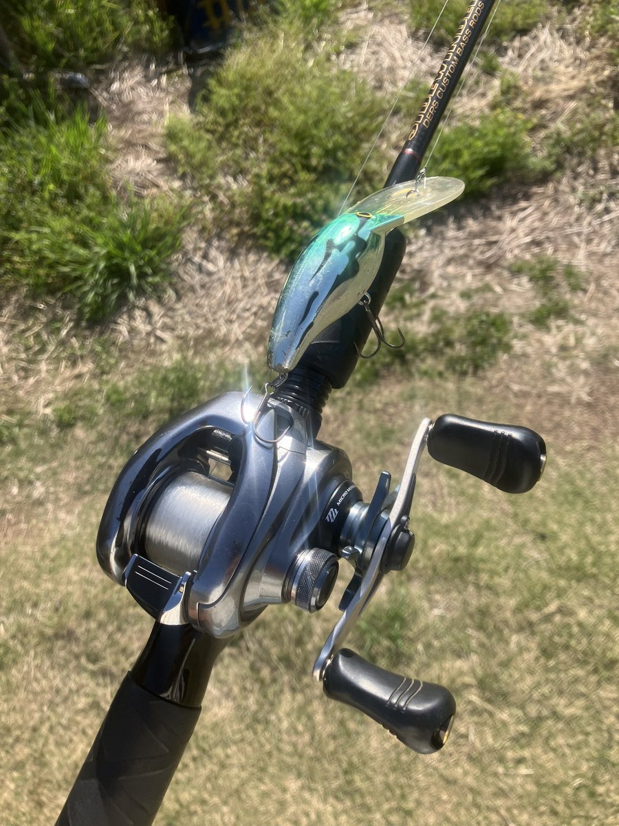 TAIDON@桟橋の人 tweet media