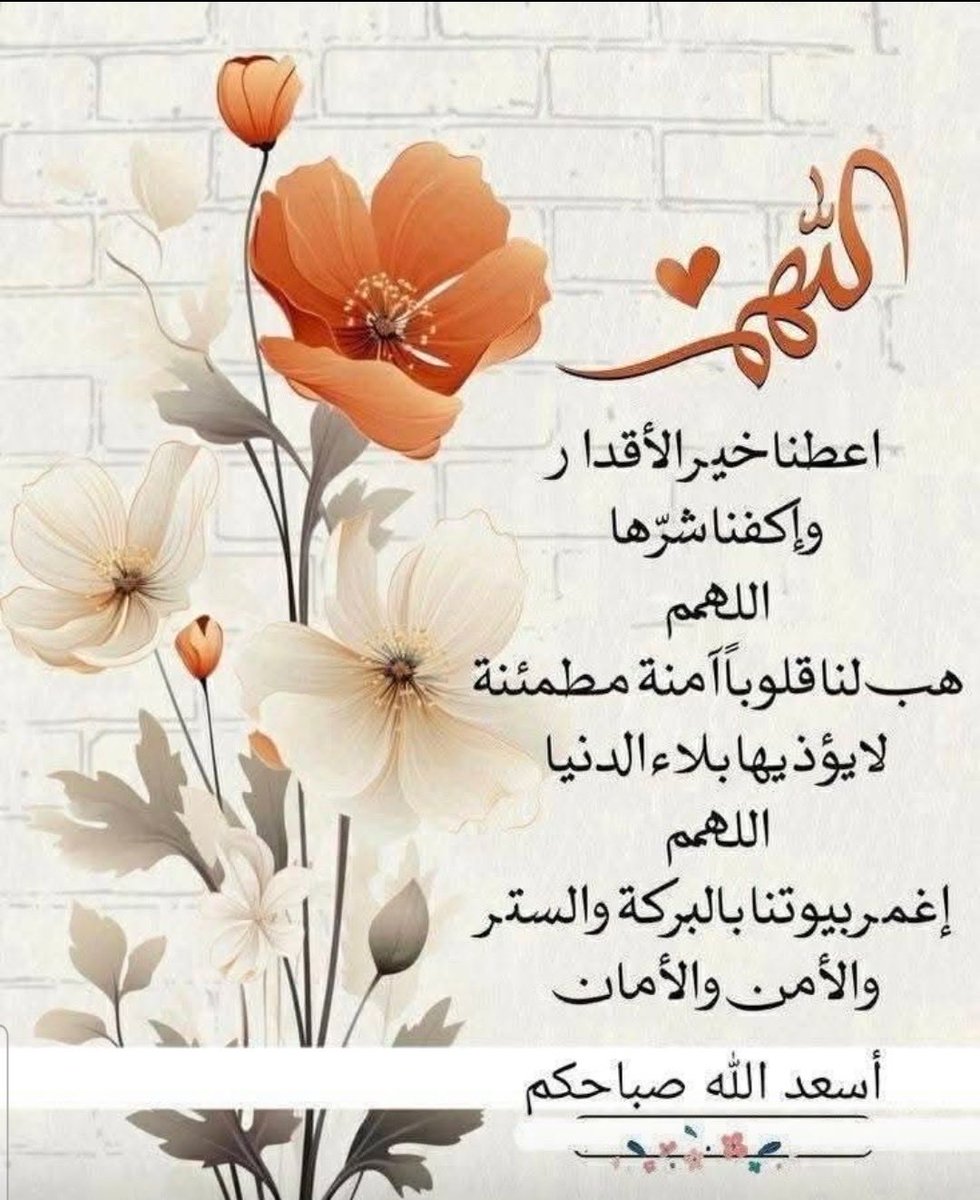 ام محمد tweet media