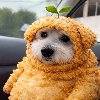 덕배(상태:튀김) tweet media