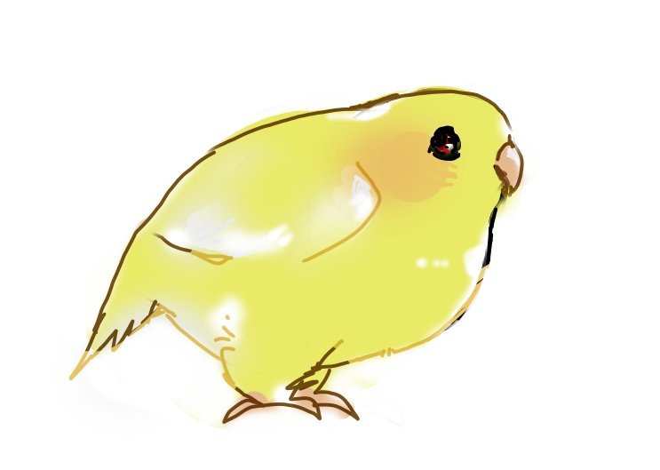 늘듬직티티뾰뾰 tweet media