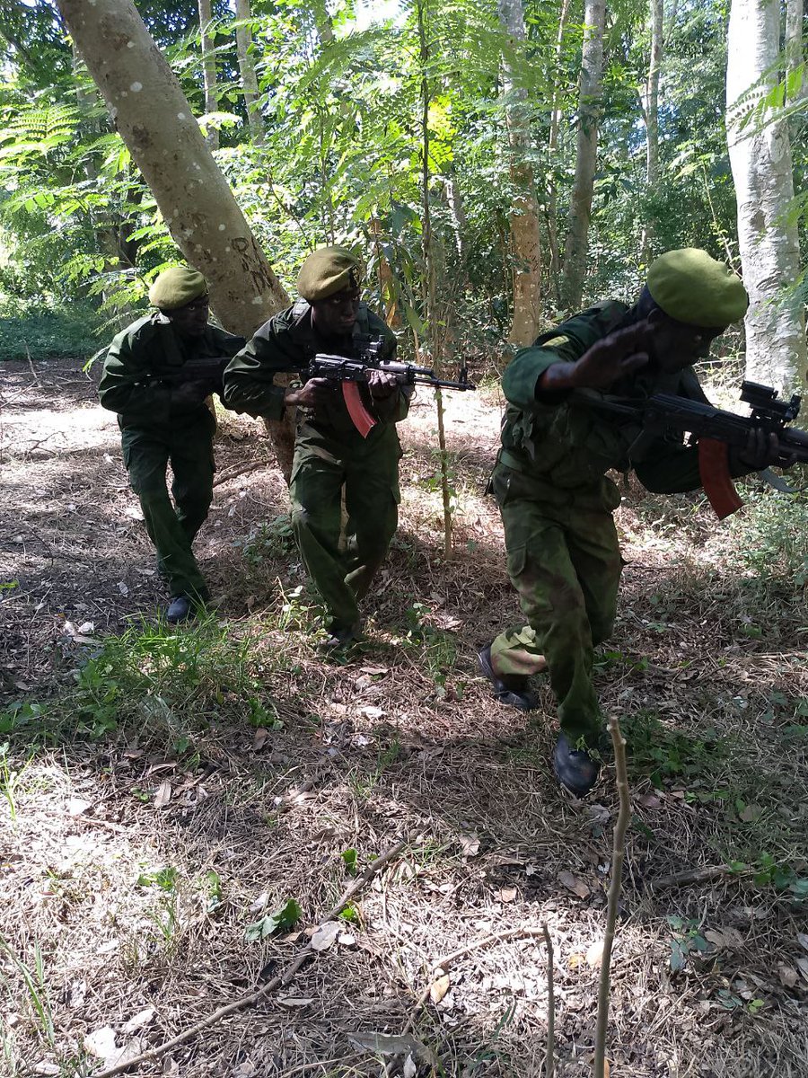 Ejército Oriental tweet media