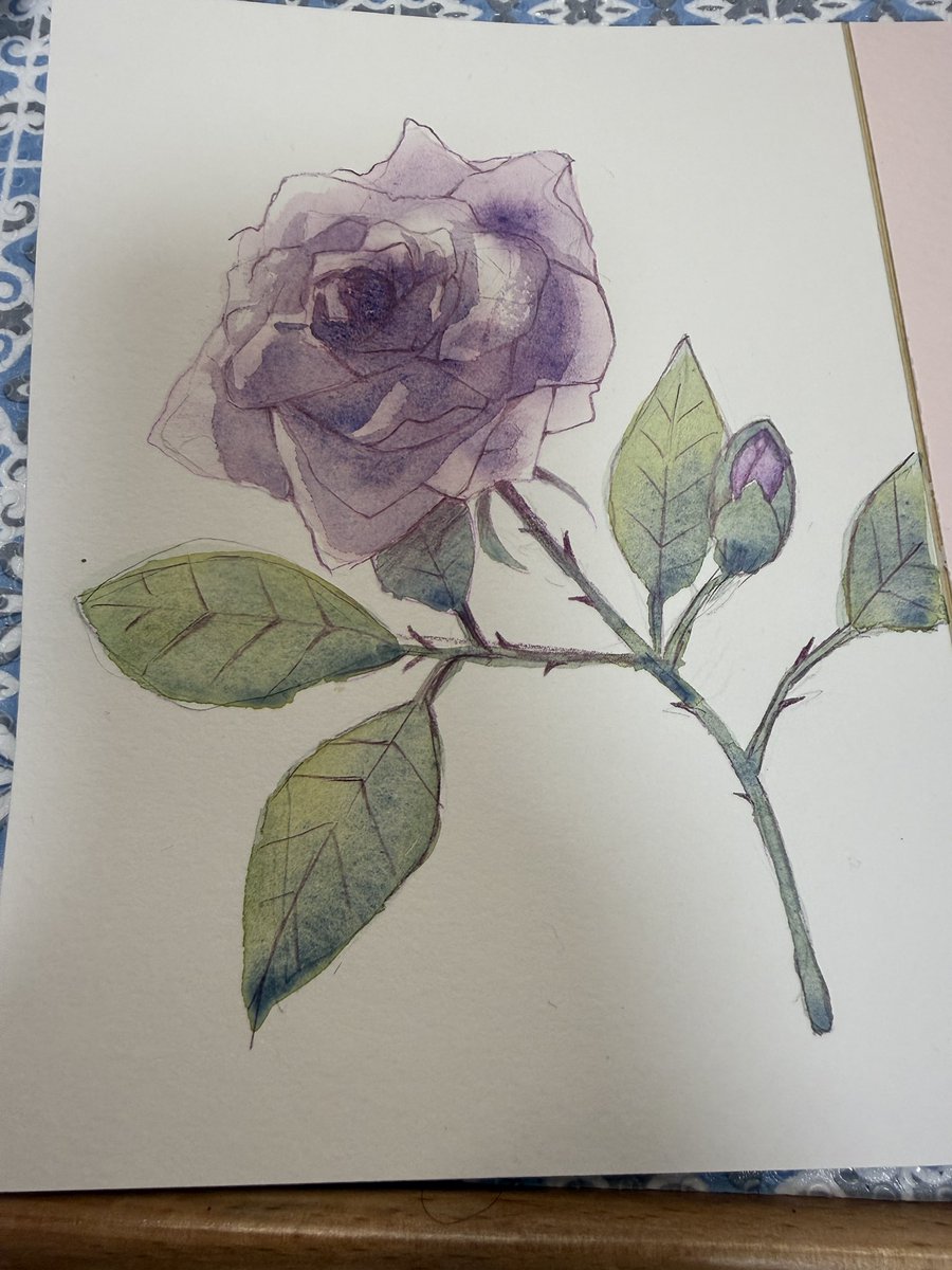 ๅกฉใญใฃใใ๏ผ ใใผใซ10 tweet media