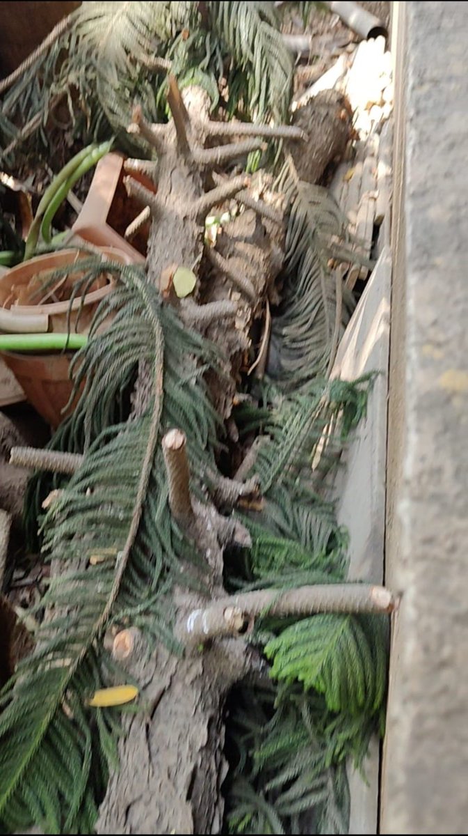 social activity tweet media