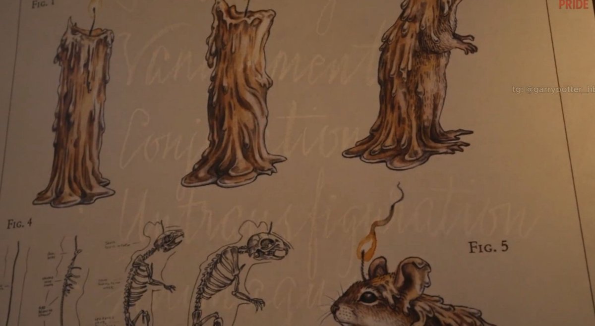 💫чароhetero💫 tweet media