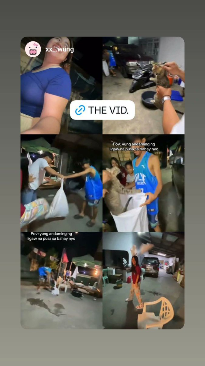kyle_xsf's tweet photo. saw a group of teenagers doing this. grabe wala ba kayong hiya? walang laban yung pusa pero binawian nyo agad ng buhay. https://t.co/rJ3XO3kHKq