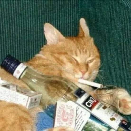 min ¨̮ | rest tweet media