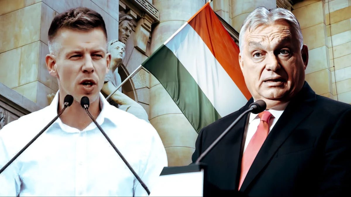 marat guelman tweet media