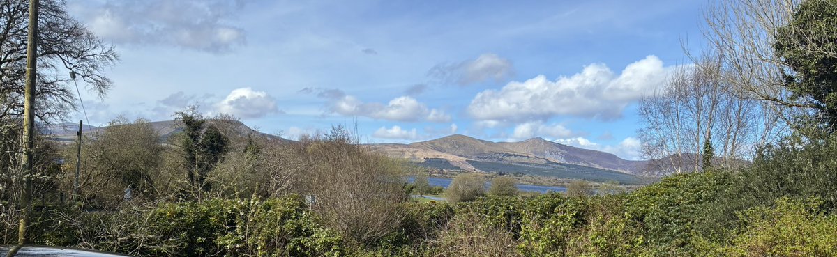 Denise Connolly Geraghty tweet media