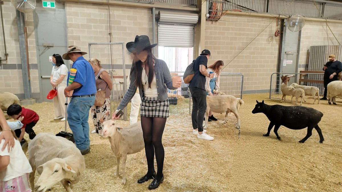 油亮小妈 tweet media