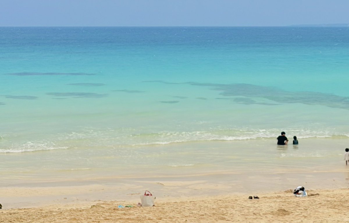 あまち tweet media