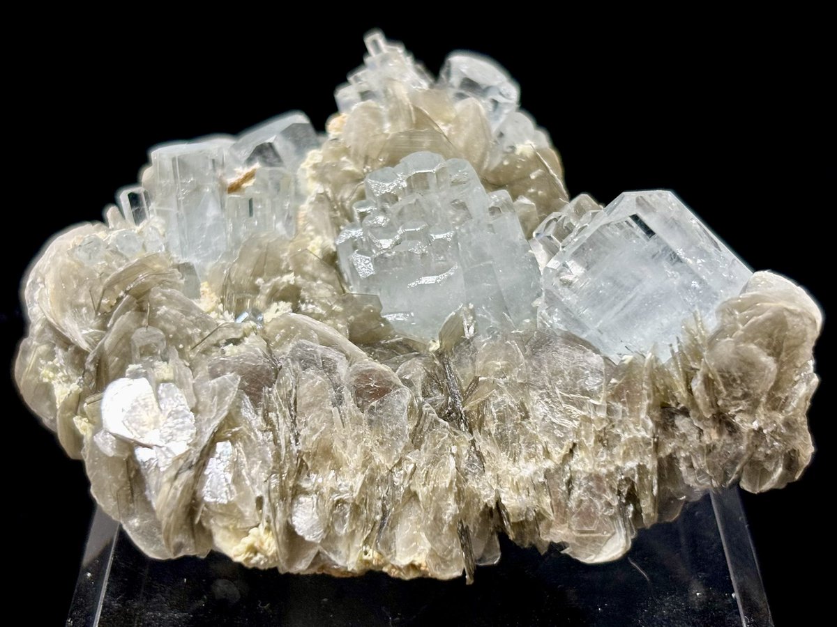 まーぼー tweet media