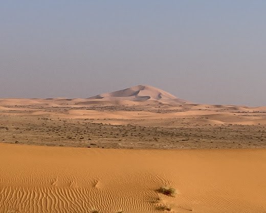 ابن عاصي (العازمي العتيبي) 📚 tweet media