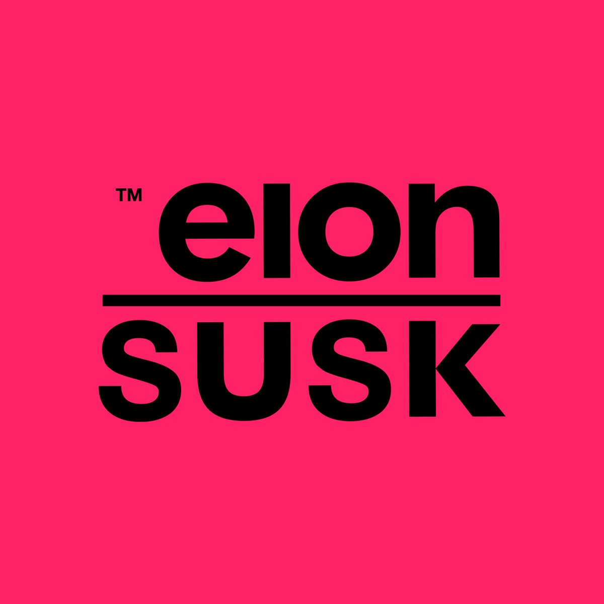 Elon Susk tweet media