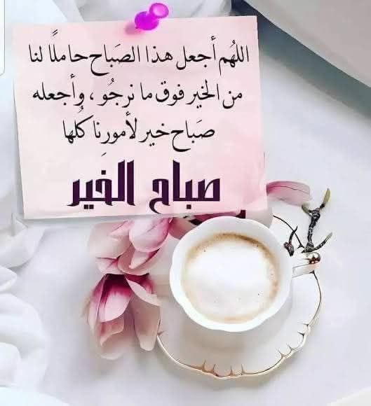 ام محمد tweet media