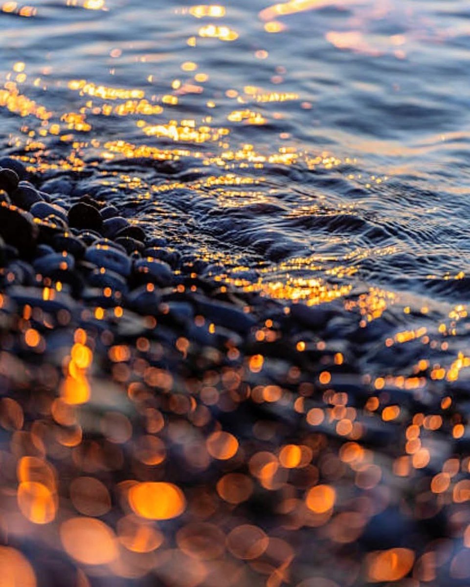 🇵🇰 Zara_Hiyat🇵🇰 tweet media