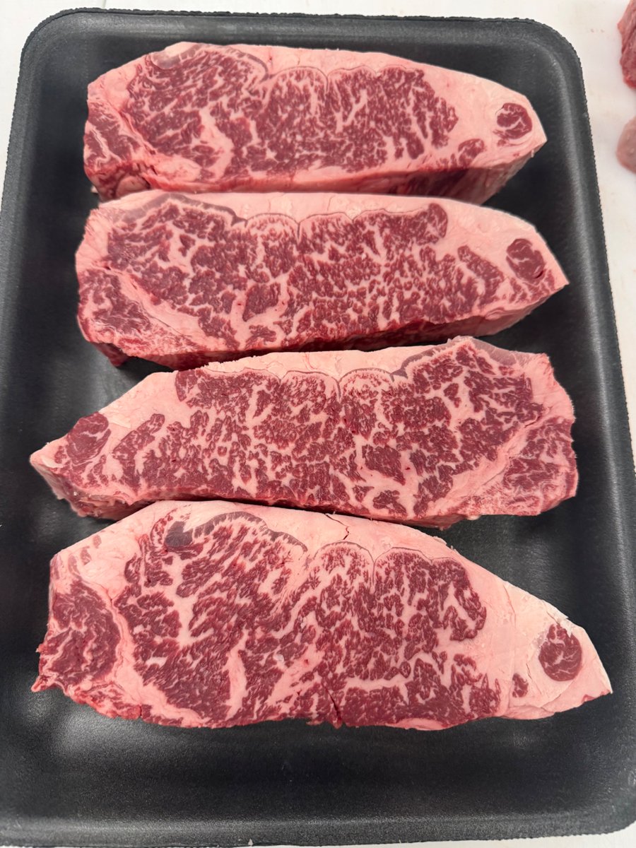 Cary Kelly tweet media