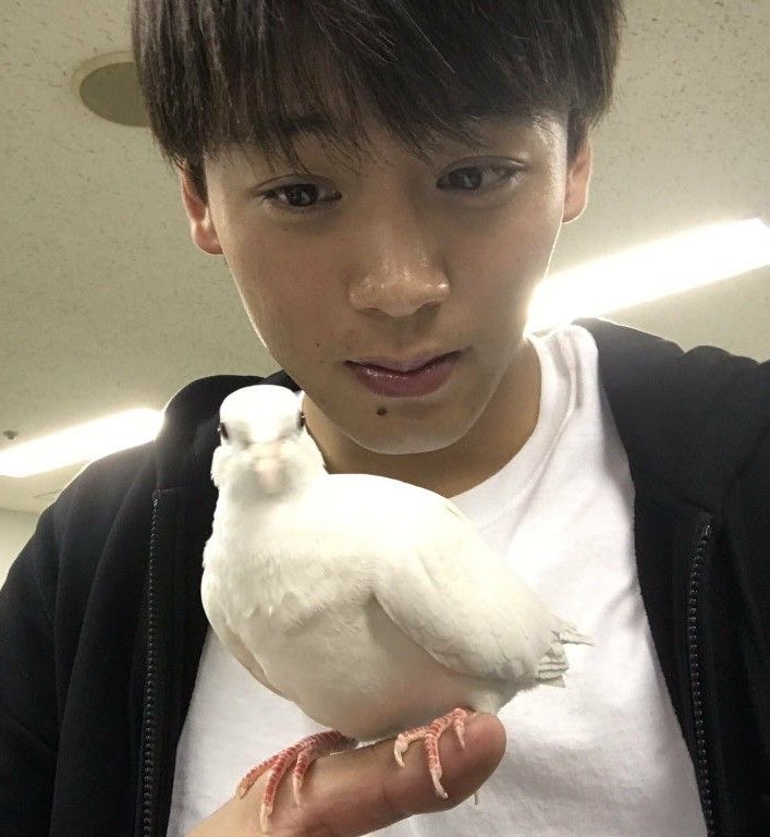 d2stance's tweet photo. 타케료 뒷전 된 것 같지만 사실 맨날 핀터 드가서 쫌쫌따리 사진 모으고 잇엇긔 당연함 내 똔깨 두고 내가 어딜 가는데 !! !! https://t.co/9ce2Qp3Nbk