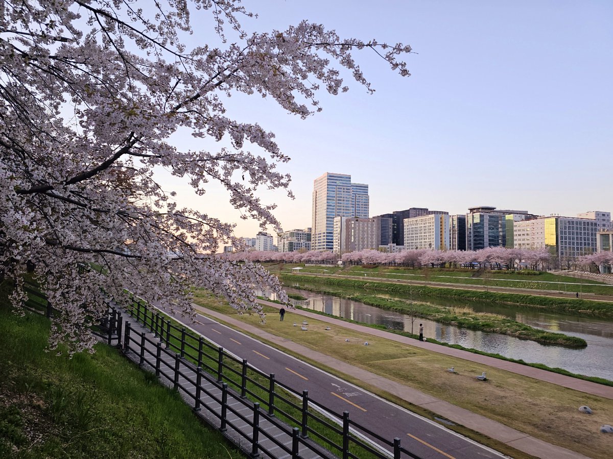 내가 이 회사를 몇 년 다녔는데 이런 데가 있는 걸 지금 알았네 사람 복잡한 데 다니지 말고 여기나 산책할 걸 한적하고 꽃도 많고 너무 좋네