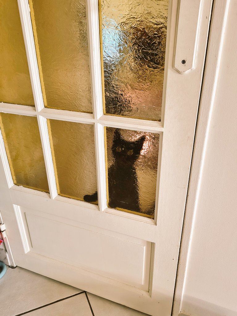 じゃ丸🇱🇧🇯🇵🇫🇷 tweet media