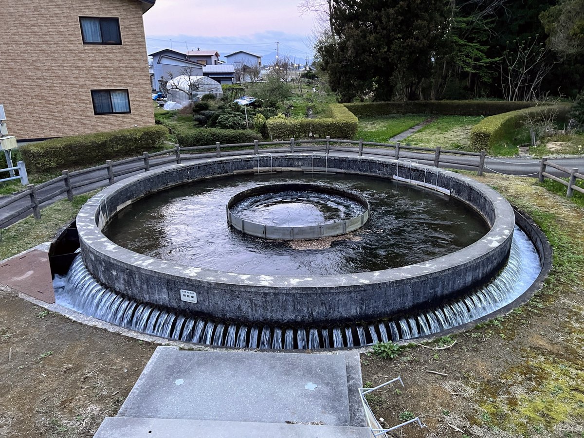 けみこ tweet media