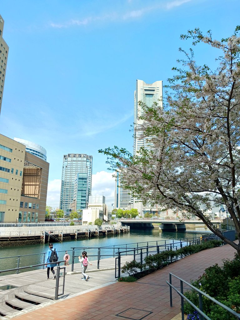 ゆう。 tweet media