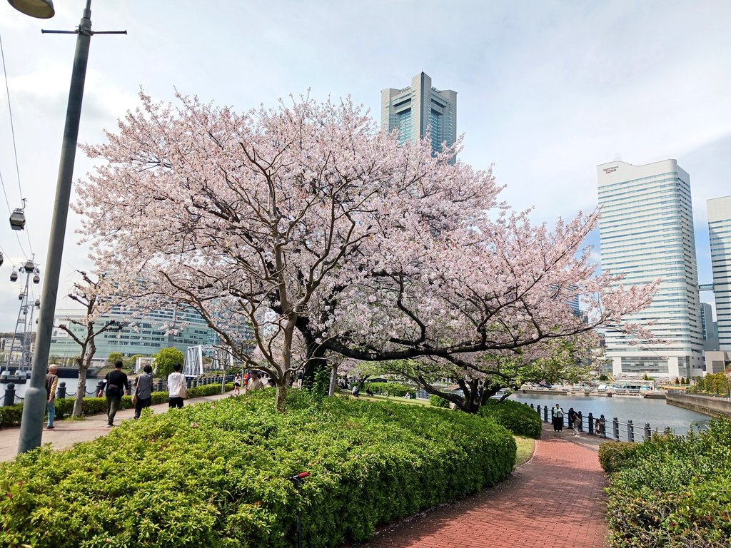 ゆう。 tweet media