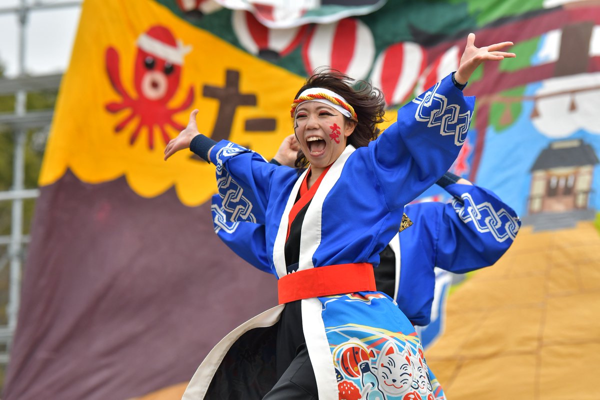 てりー★よさこい写真専用垢 tweet media