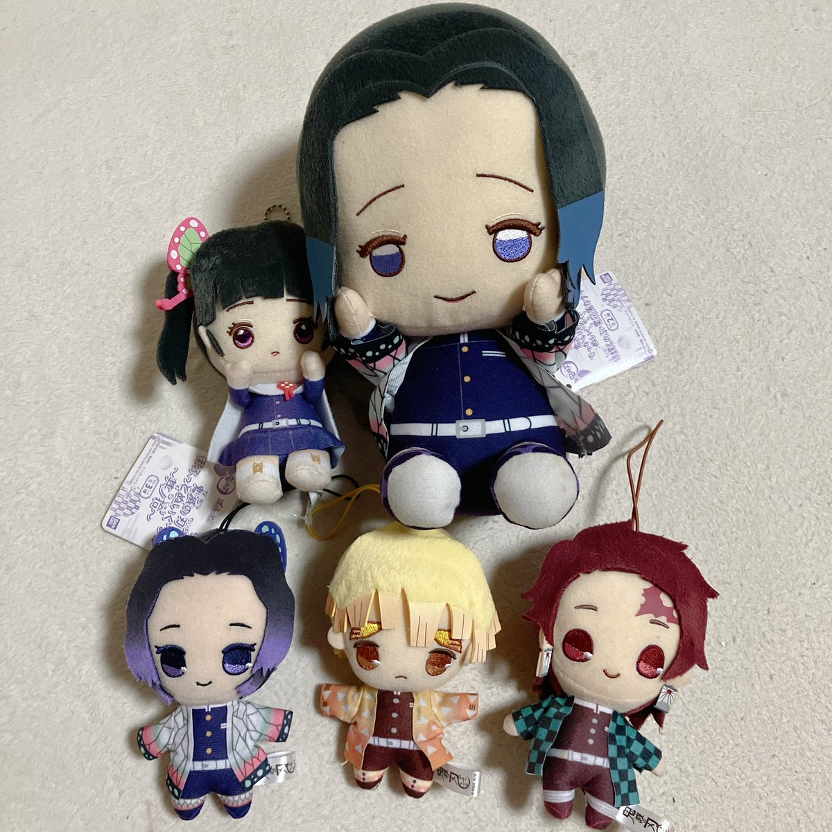 🐶わんこ🐶 tweet media