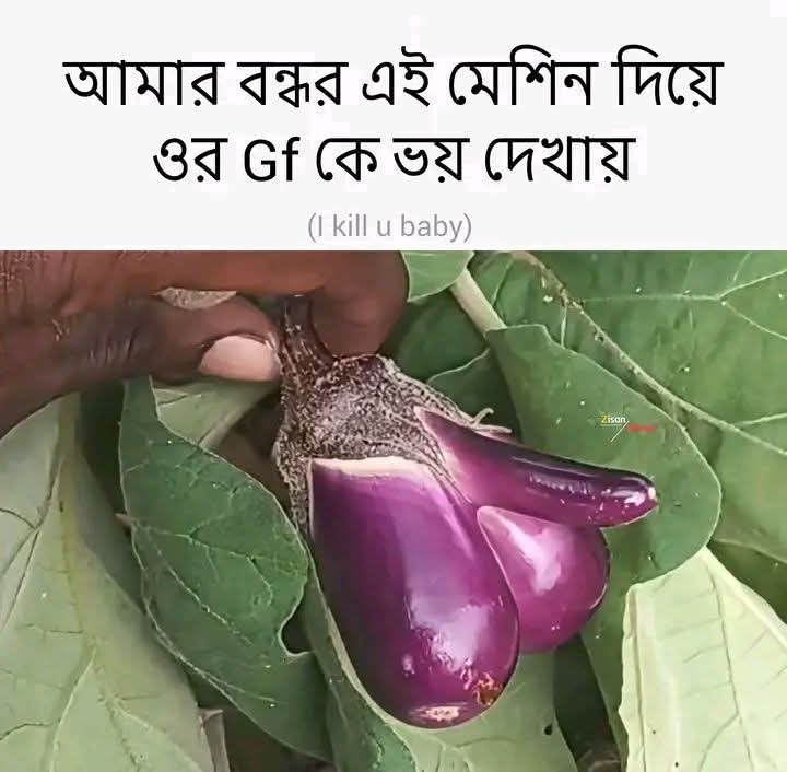 Mis Mitu tweet media